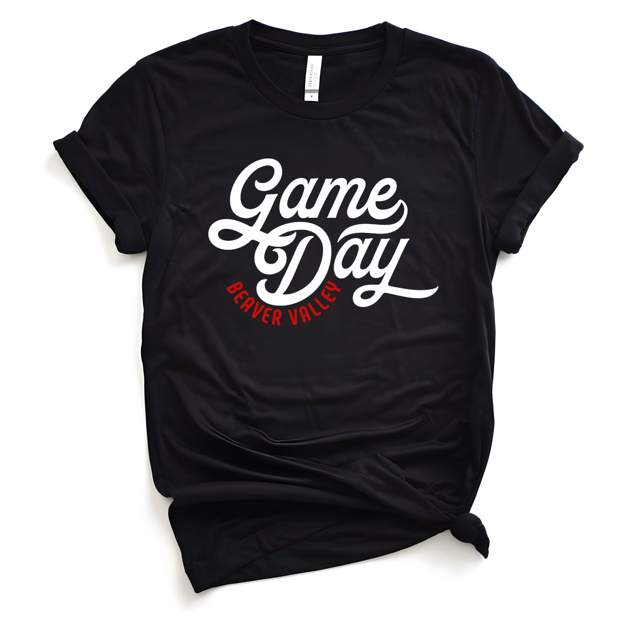 Beaver Valley Baseball Game Day