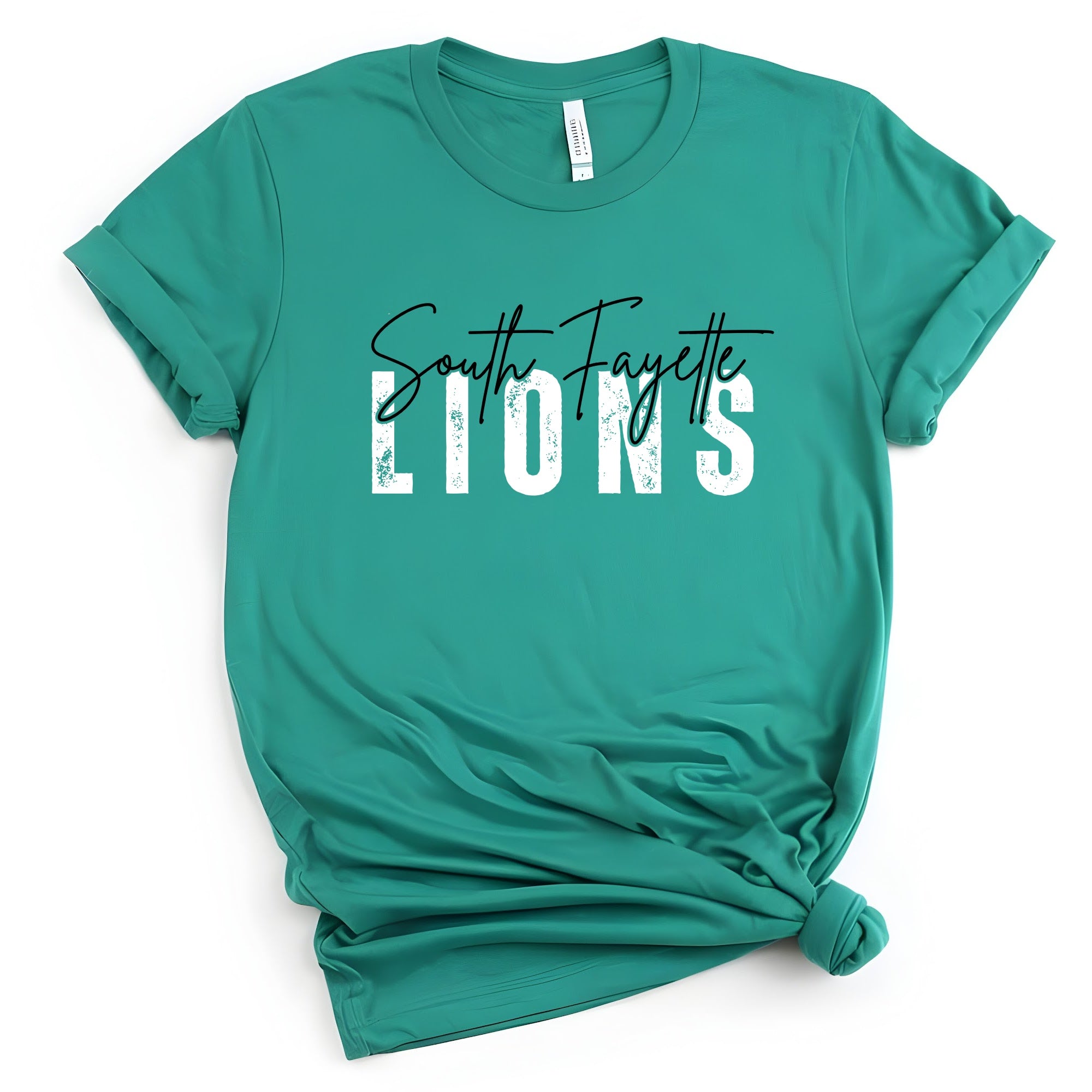 SF PTA Lions Scribble